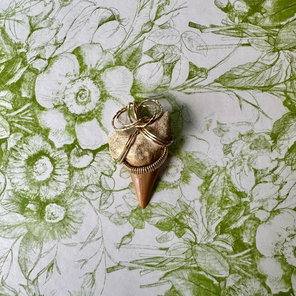 Shark Tooth Wire-wrapped Pendant